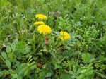 120505-11.jpg