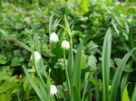 120505-20.jpg