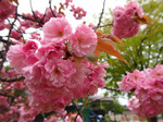120505-21.jpg